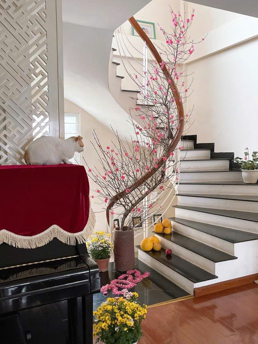 BÁN NHÀ ĐẸP – NGÕ TÔ Ô TÔ VÀO TẬN NHÀ – KHU VỰC TRUNG TÂM – THIẾT KẾ HỢP LÝ – SỔ ĐỎ CHÍNH CHỦ- 40.5*5T