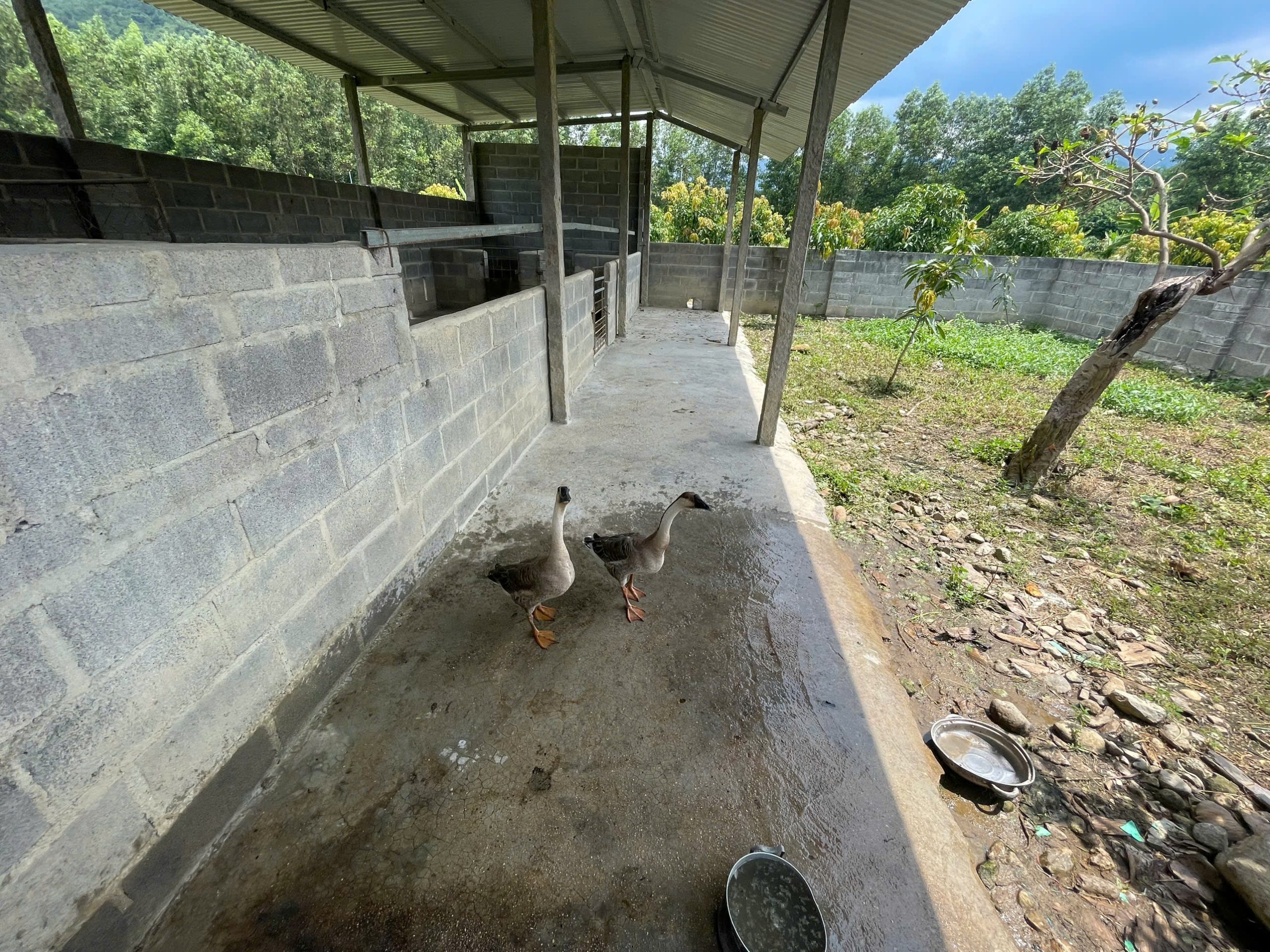 bán nhanh giá đẹp 28 ngàn mét Suối Hiệp có suối nước (diện tích thực và có mua thêm giấy tay tổng 32 ngàn mét) Giá bán