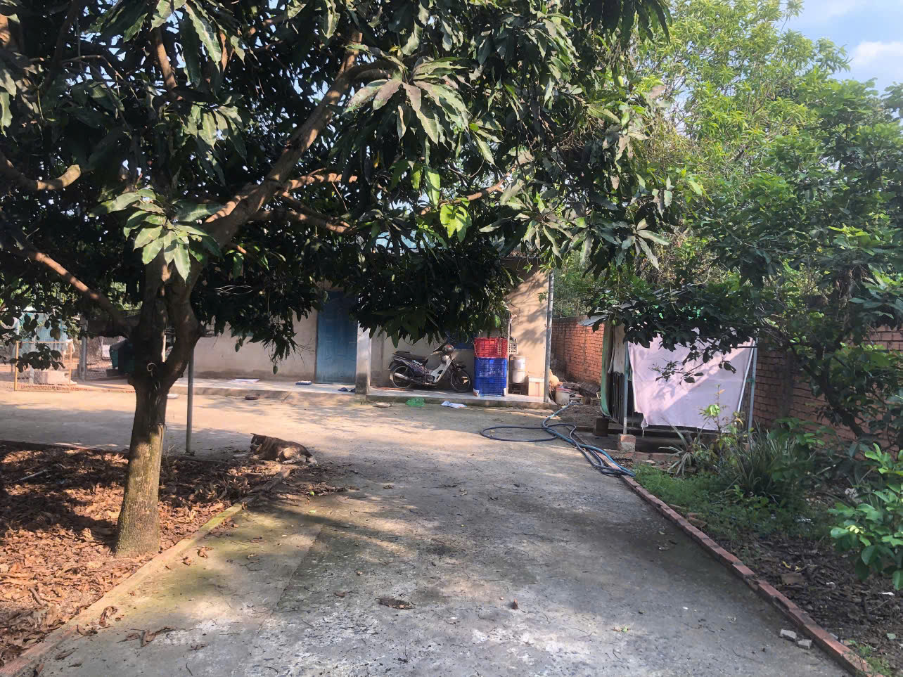 CHÍNH CHỦ CẦN BÁN ĐẤT VƯỜN 2 MẶT TIỀN ĐẸP – ĐƯỜNG XÓM HUẾ, TRỊ AN, VĨNH CỬU, ĐỒNG NAI.