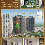  50m2 - 1