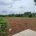  4800m2 - 5