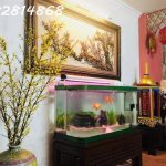  75m2 - 4