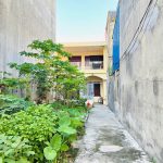  100m2 - 6