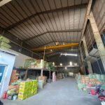  1000m2 - 1
