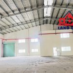  12500m2 - 1