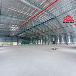  9000m2 - 4