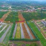  70000m2 - 3
