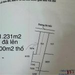  1231m2 - 6