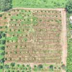  900m2 - 5