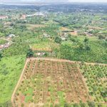  900m2 - 4