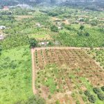  900m2 - 1