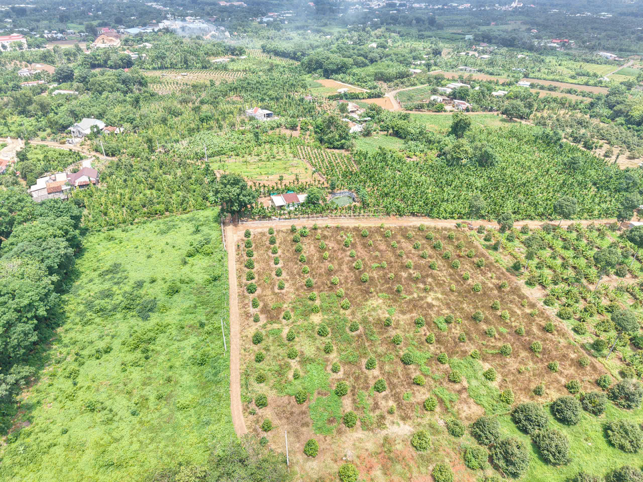 Bán gấp 20x45m DT 900m² Có 80 m2 ONT Gần Chợ Láng Lớn Giá chỉ: 2 triệu/m² ²