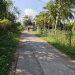  1250m2 - 5