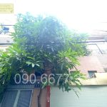  80m2 - 3