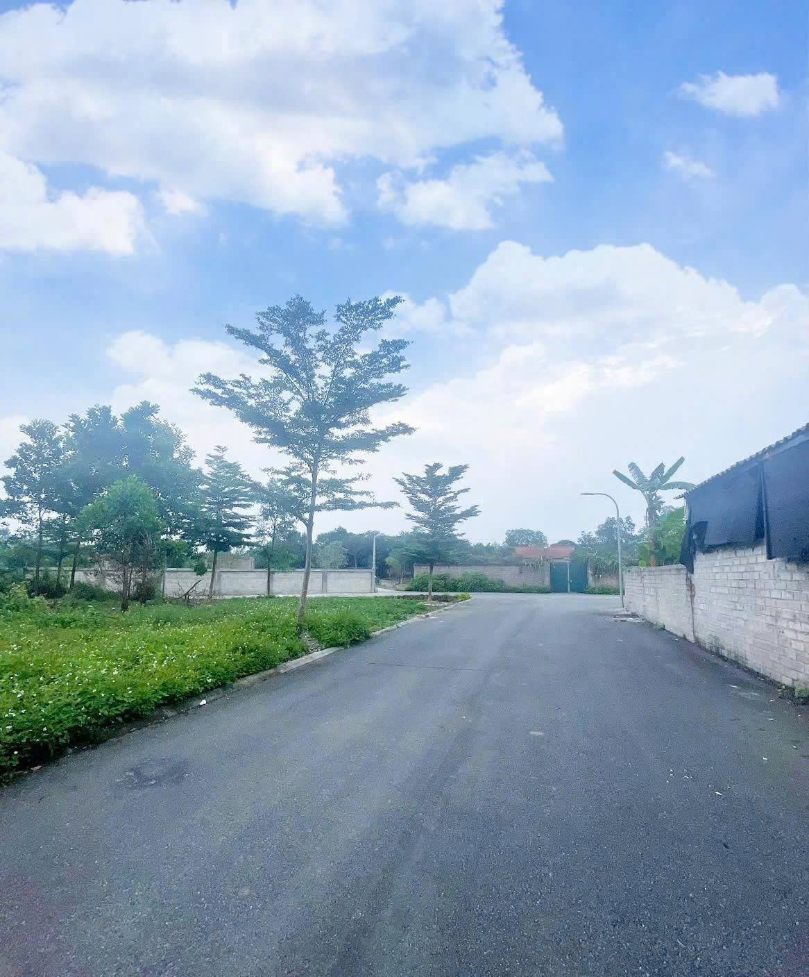 Siêu phẩm Lô góc 110m2 rẻ nhất Đồng Trạng - VIP nhất Cổ Đông - Thành Phố Hà Nội