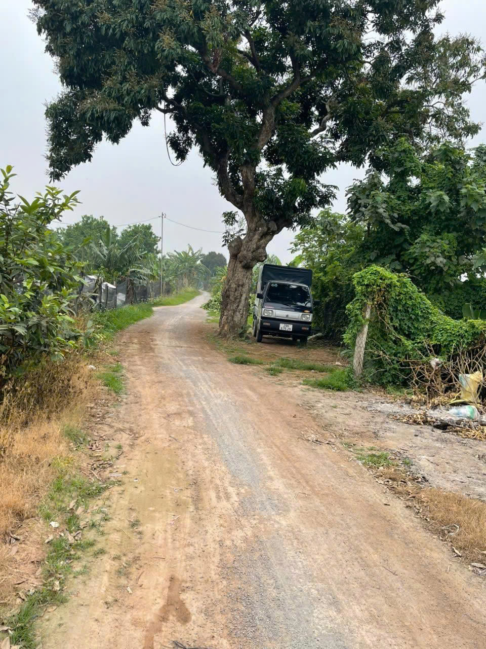 Bán đất nông nghiệp - Đất bãi trục chính tổ 14 Yên Nghĩa, Hà Đông