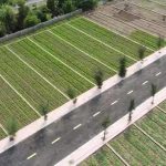  100m2 - 5