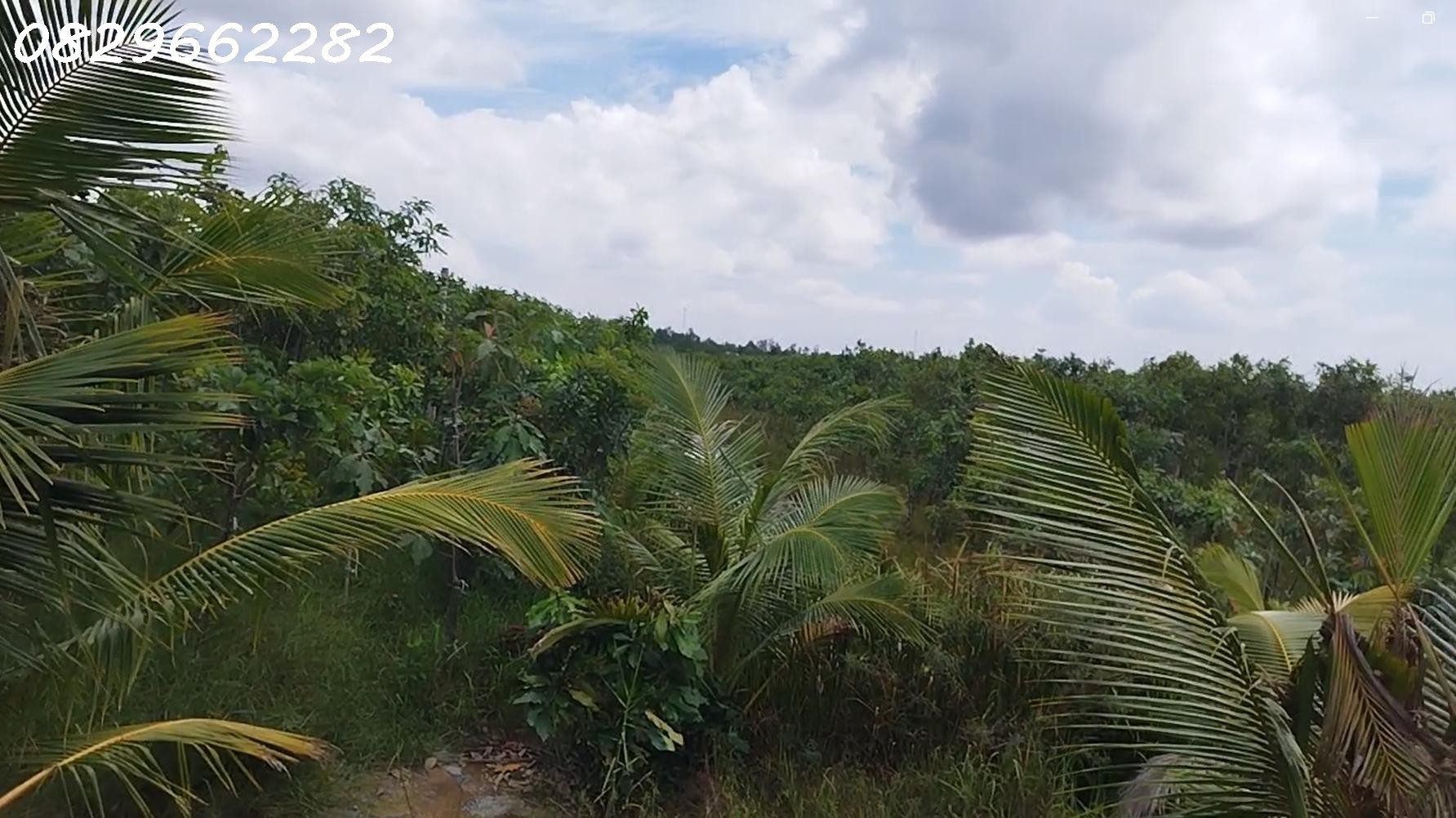 Bán Đất Vườn Cây Ăn Trái Xã Hòa Long, Đồng Tháp. DT 44000m2, SHR, Giá 22 Tỷ.
