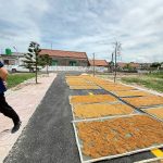  100m2 - 6