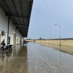  5000m2 - 1