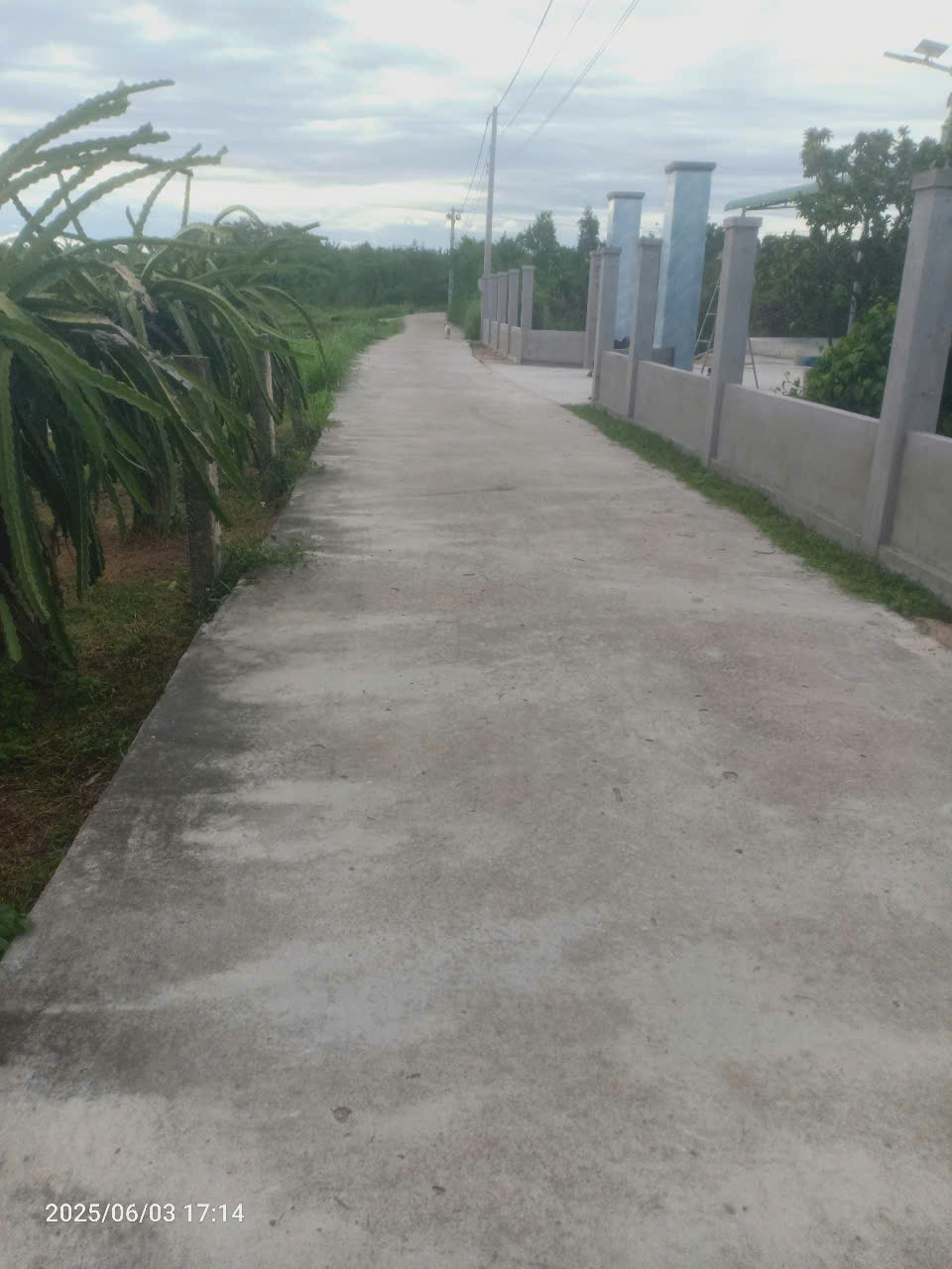 Bán Gấp đất mặt tiền bê tông khu phố Lâm Giáo - Ma Lâm - Hàm Thuận Bắc - Lâm Đồng
