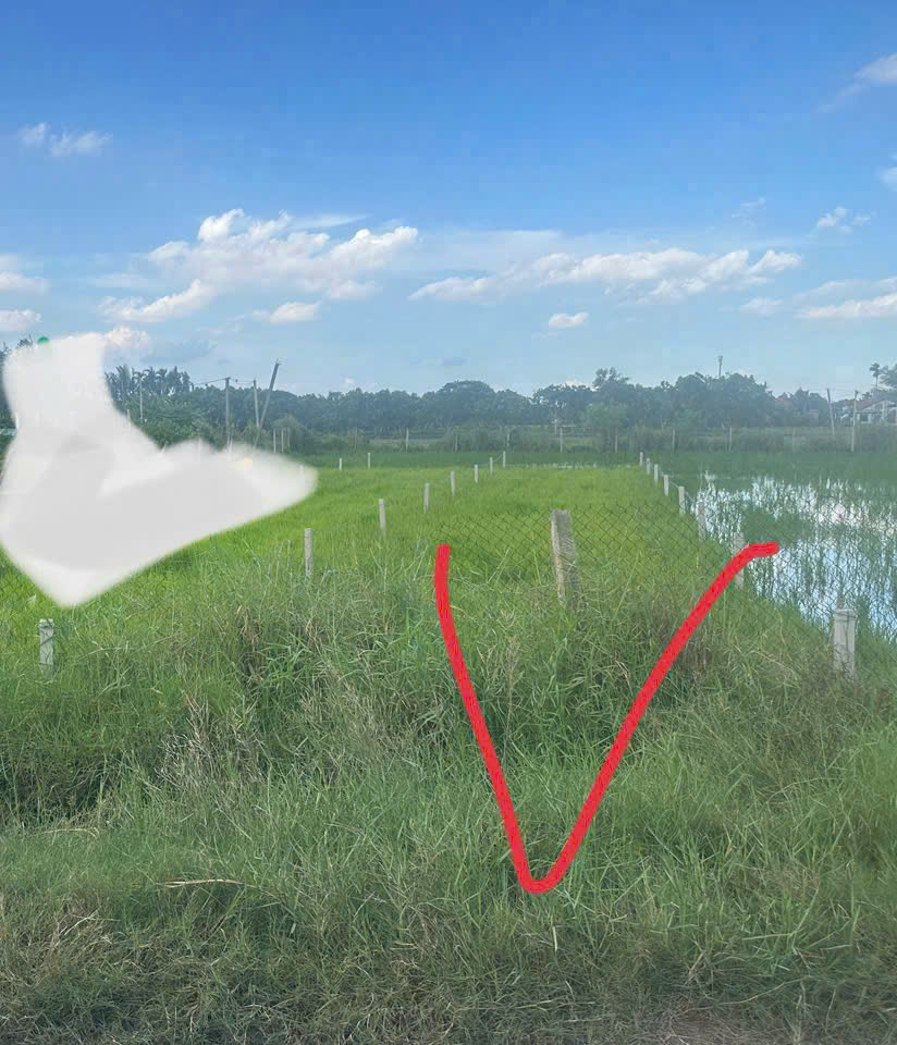Chính Chủ Bán 177.1m2 Đất Mặt Tiền Bê Tông Chùa Pháp Tuyền, Đức Hòa Thượng, Huyện Đức Hòa, Long An