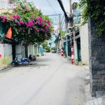  60m2 - 1