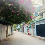  60m2 - 5