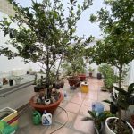  80m2 - 6