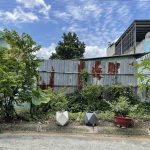  300m2 - 6