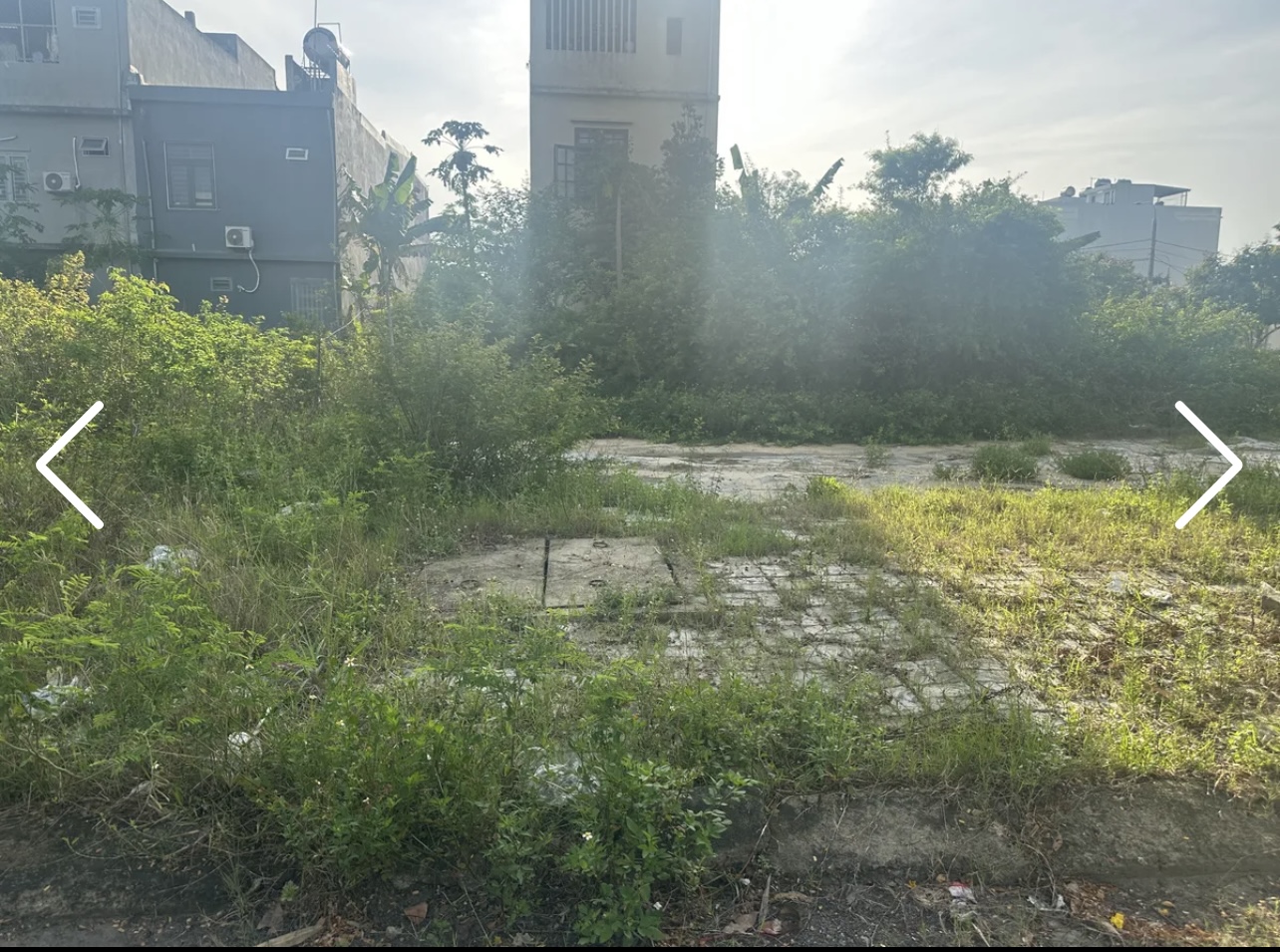 100m2