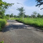  100m2 - 6