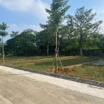  100m2 - 6