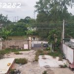  425m2 - 1