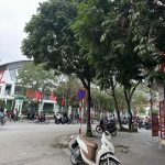  40m2 - 4