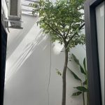  106m2 - 4
