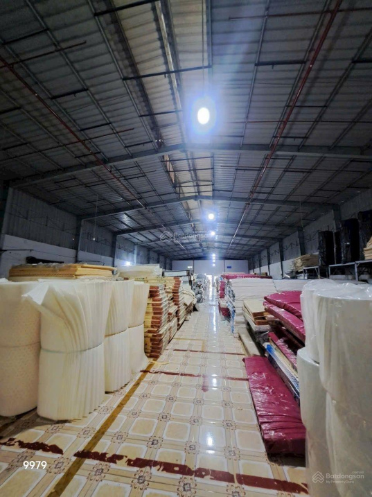Cho Thuê Kho Xưởng 5.100m² Đường Tân Thới Hiệp 21, P. Tân Thới Hiệp, Q12 – Giá 310 Triệu/Tháng
