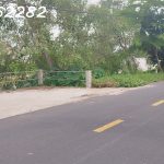  425m2 - 3