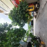  50m2 - 5
