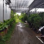  320m2 - 5