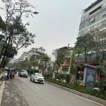  450m2 - 1