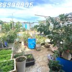  90m2 - 1
