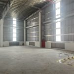  8000m2 - 5