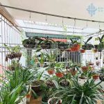  60m2 - 6