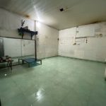  100m2 - 1
