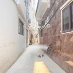  60m2 - 1