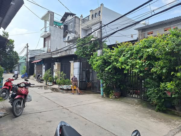 65m2