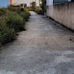  1249m2 - 1