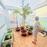  50m2 - 6