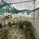  60m2 - 6